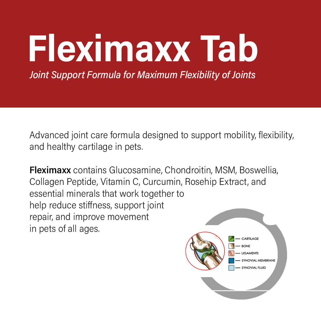Fleximaxx Joint Support Tablets for Pets – 3x10 Tabs | Maximum Flexibility & Mobility | Hip & Joint Care Supplement for Dogs & Cats - Image 2