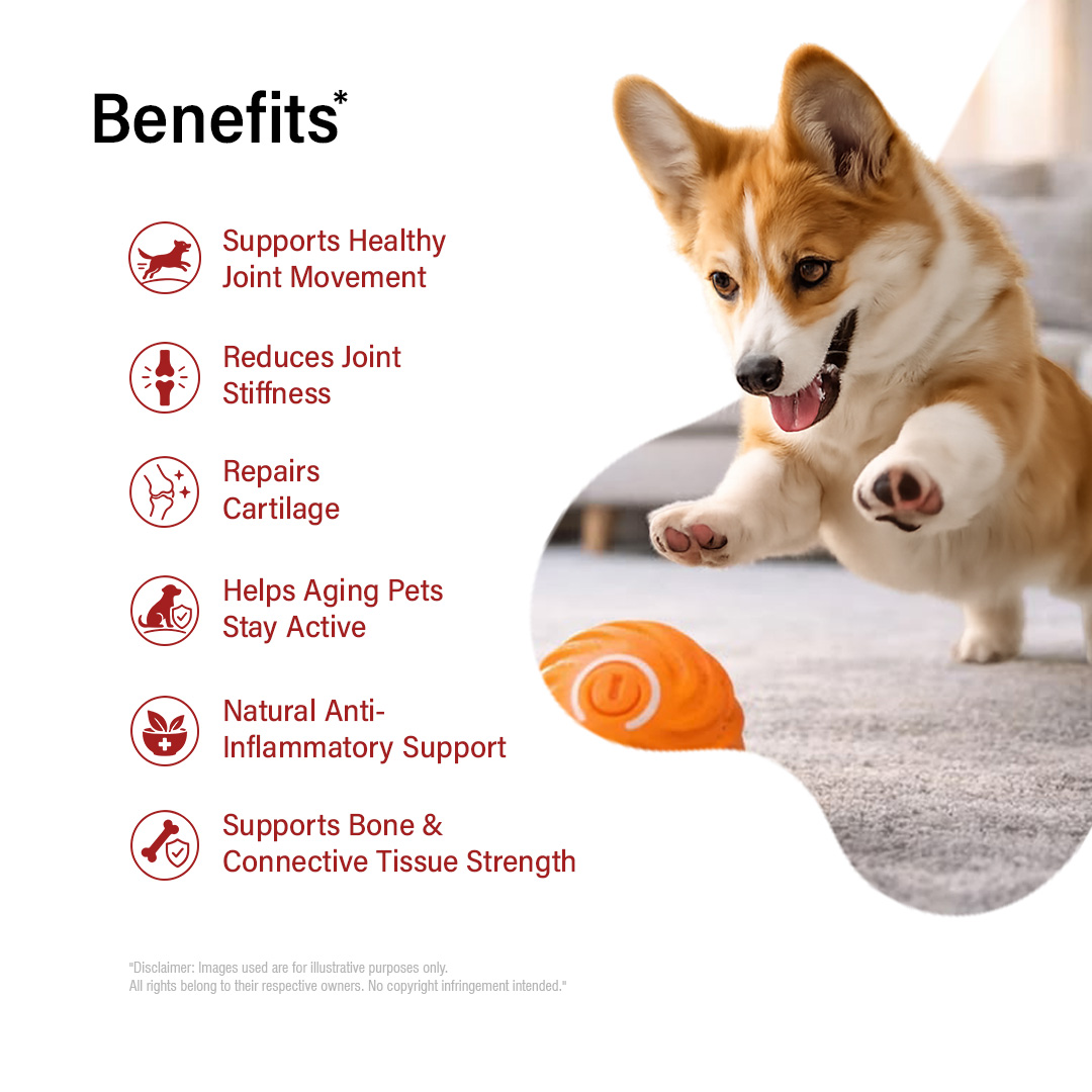 Fleximaxx Joint Support Tablets for Pets – 3x10 Tabs | Maximum Flexibility & Mobility | Hip & Joint Care Supplement for Dogs & Cats - Image 3