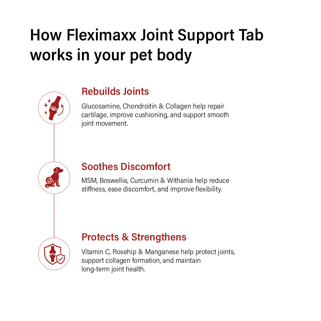 Fleximaxx Joint Support Tablets for Pets – 3x10 Tabs | Maximum Flexibility & Mobility | Hip & Joint Care Supplement for Dogs & Cats - Image 4