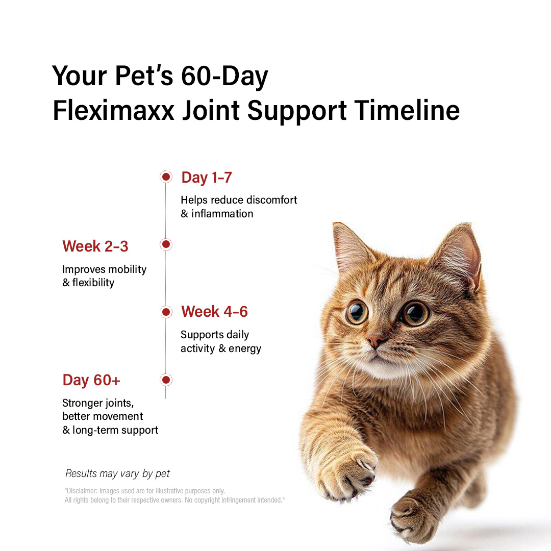 Fleximaxx Joint Support Tablets for Pets – 3x10 Tabs | Maximum Flexibility & Mobility | Hip & Joint Care Supplement for Dogs & Cats - Image 5