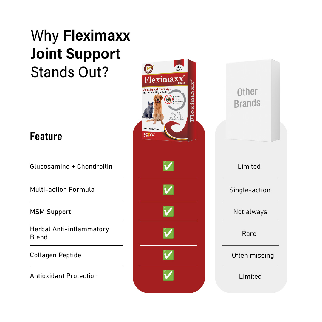 Fleximaxx Joint Support Tablets for Pets – 3x10 Tabs | Maximum Flexibility & Mobility | Hip & Joint Care Supplement for Dogs & Cats - Image 6