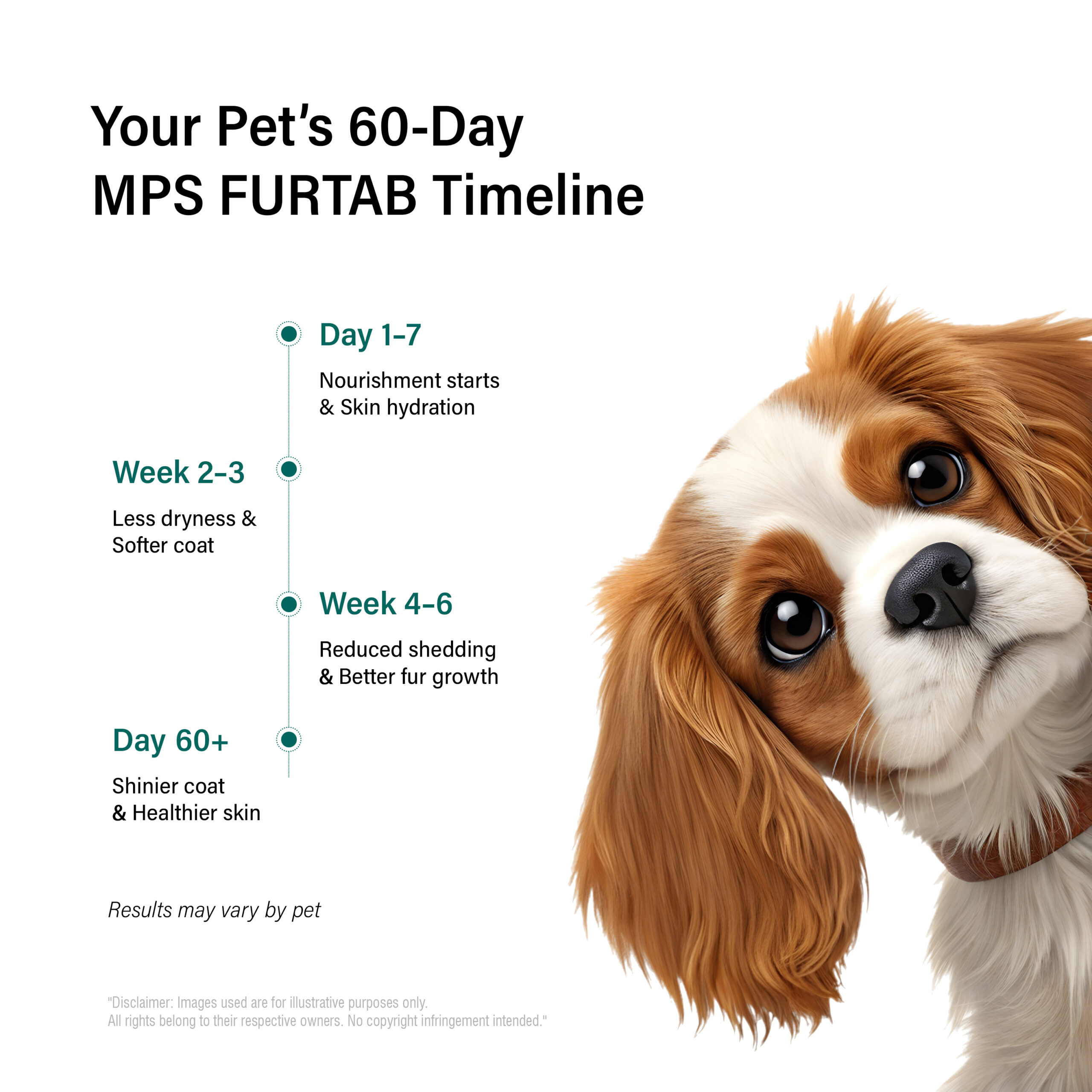 MPS Furtab Supplement for Pets - 60 Tabs | Biotin 3000 mcg, Omega 3 EPA+DHA 300 mg, Omega 6 & 9, Zinc, Vitamins for Healthy Coat & Skin - Image 5