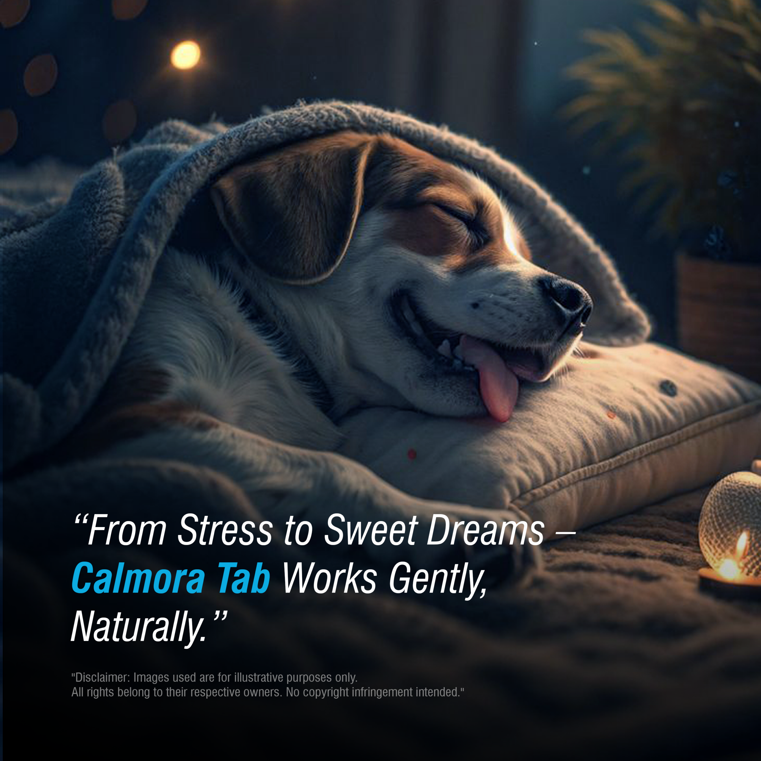 Calmora Tablets for Pets – Complete Nervine Care | Supports Calming & Stress Relief | 30 Tablets - Image 2