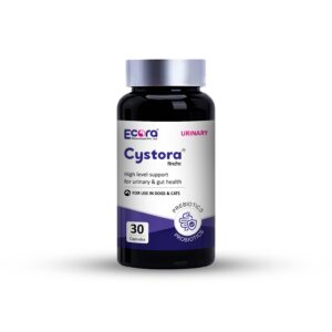 Cystora 60 Capsules