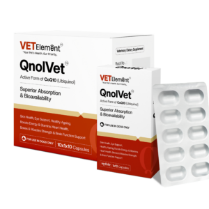 QnolVet Capsule 1x10