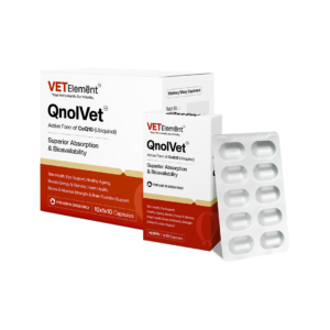 QnolVet Capsule 1x10